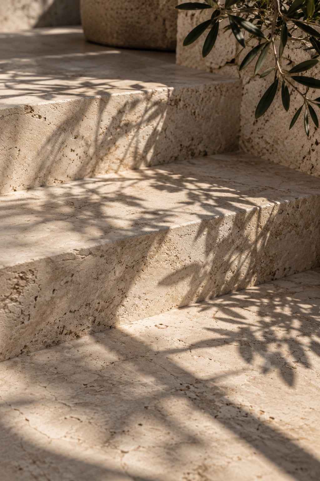 AI-generated botanical shadows across warm limestone steps